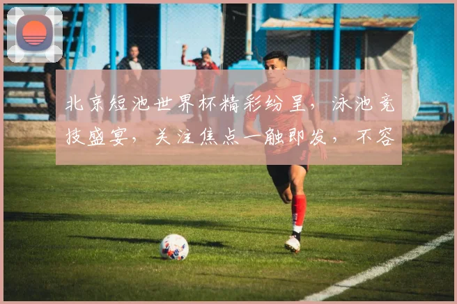 北京短池世界杯精彩纷呈，泳池竞技盛宴，关注焦点一触即发，不容错过