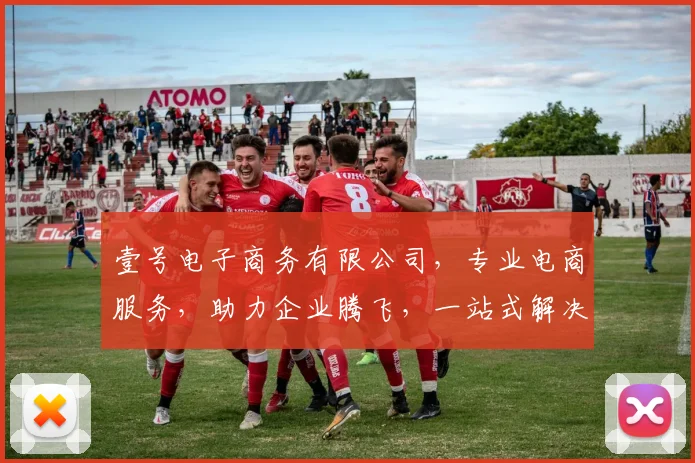 壹号电子商务有限公司，专业电商服务，助力企业腾飞，一站式解决方案，成就卓越品牌，共赢未来