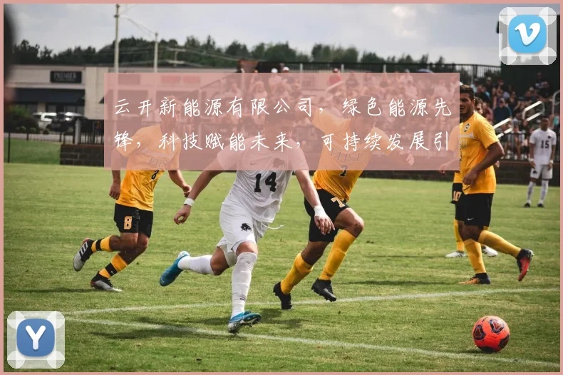 云开新能源有限公司，绿色能源先锋，科技赋能未来，可持续发展引领者，共创辉煌新篇章