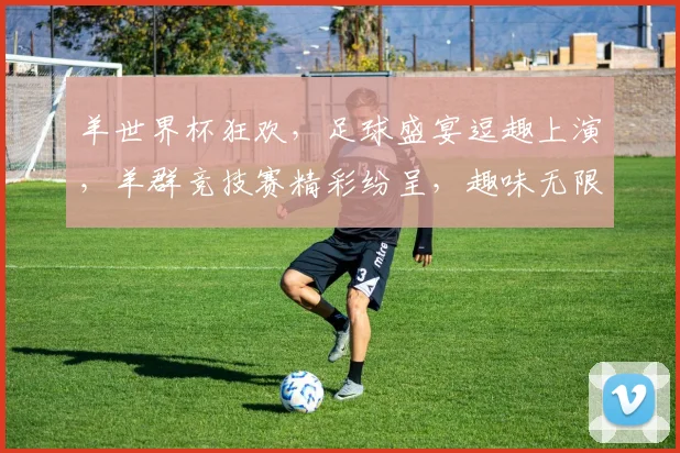 羊世界杯狂欢，足球盛宴逗趣上演，羊群竞技赛精彩纷呈，趣味无限