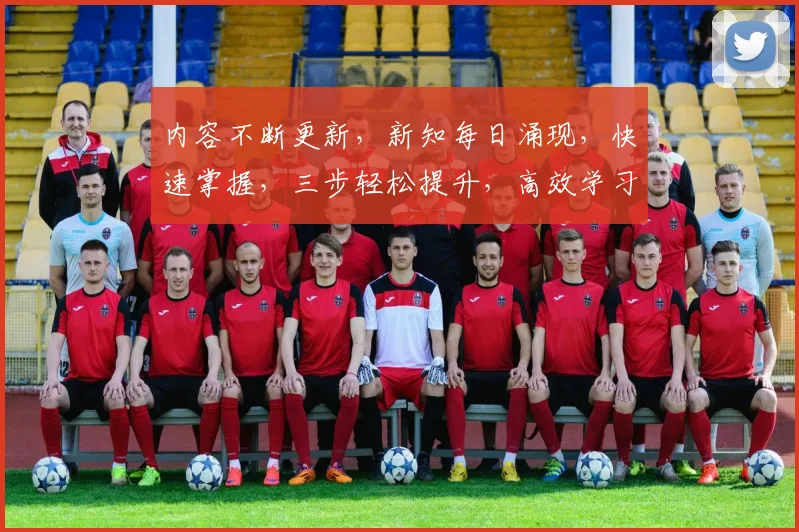 内容不断更新，新知每日涌现，快速掌握，三步轻松提升，高效学习之道