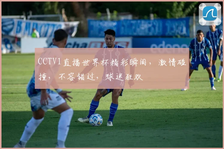 CCTV1直播世界杯精彩瞬间，激情碰撞，不容错过，球迷狂欢